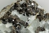 Lustrous Black Garnets with Blue Calcite - Mexico #190816-1